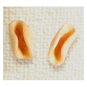 TORTIGLIONI GRANO SENATORE CAPPELLI KG.1